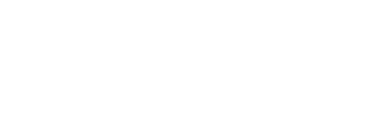 Kali Linux Training